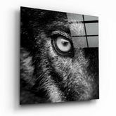 Wolf's Eye Glass Wall Art.